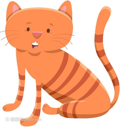 猫咪破羊水有什么症状:关注猫咪分娩的关键时刻